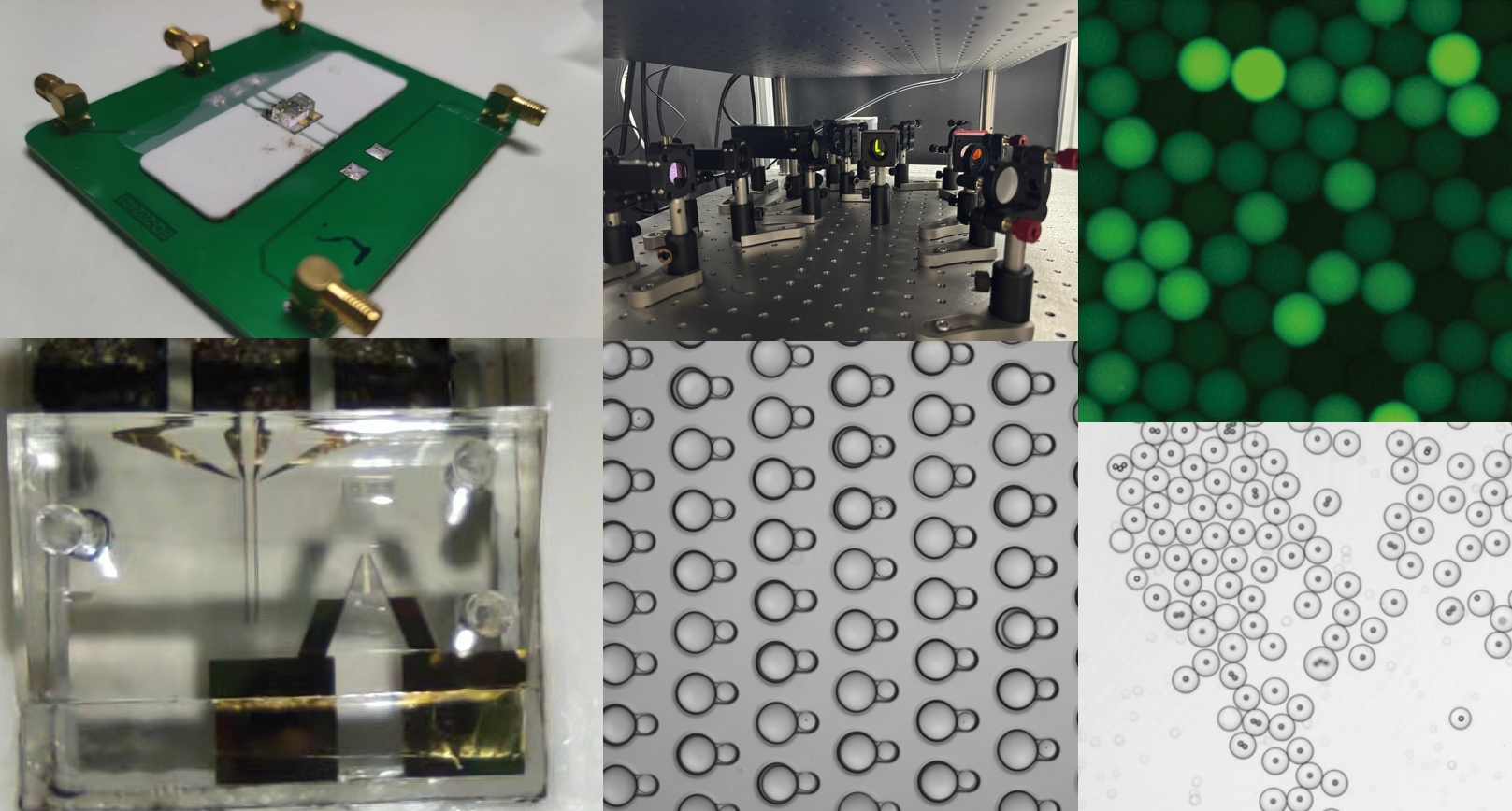 Lab overview