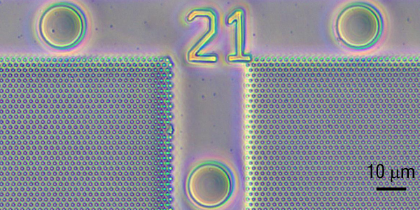 Slide 5